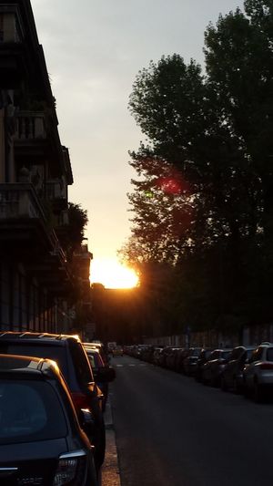 Traffic on road at sunset