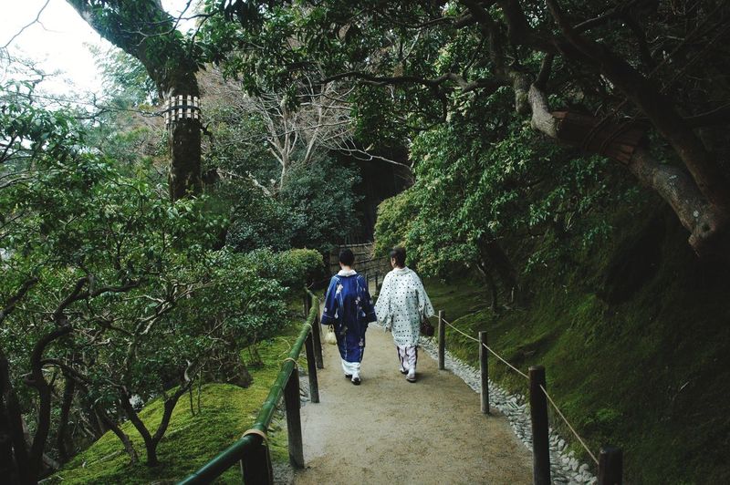 Rear view of japanese women walking on footbridge in forest