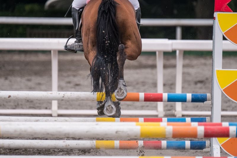 Horse jumping over obstacle