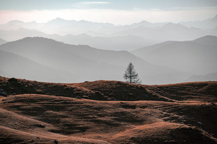 Single tree with layers of mountains in the background, fall colors, filzmoos, salzburg, austria.