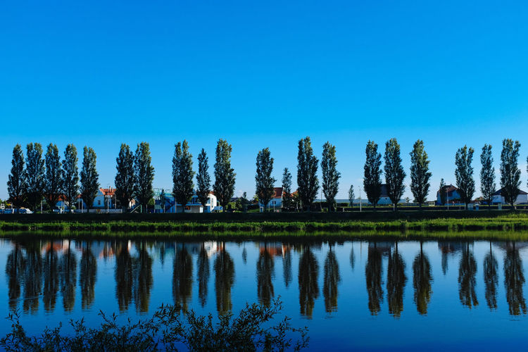 Reflection of trees in lake against clear blue sky