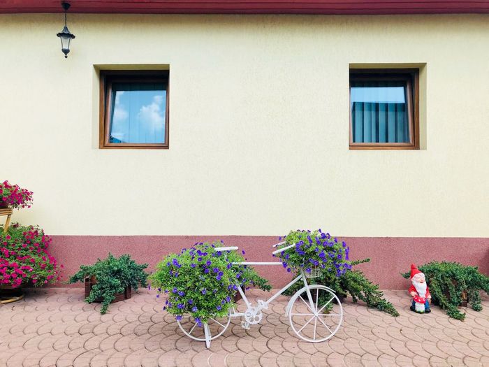 Bicycle parked by plants on footpath against house
