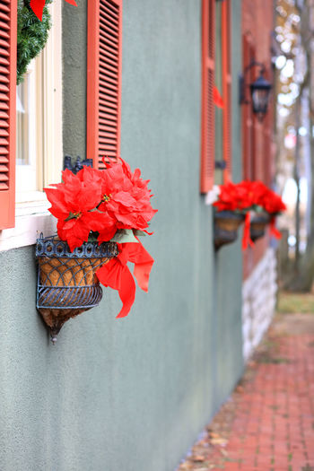 Close-up of red flower pot against building