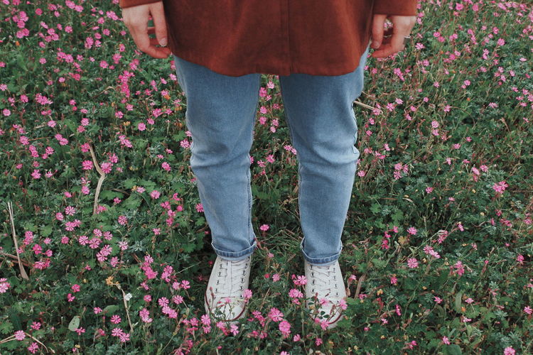Low section of person standing amidst flowers on field