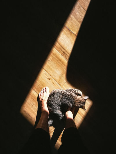 Low section of woman with shadow on floor