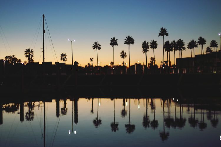 Reflection of palm trees in lake during sunset