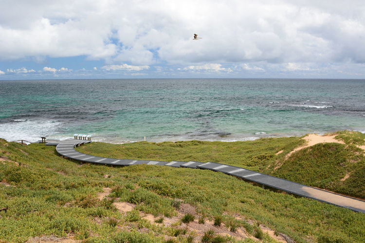 Penguin island walkway. shoalwater islands marine park. rockingham. western australia