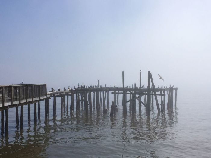 Wooden posts in sea against clear sky