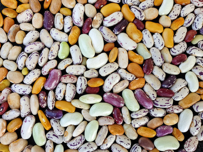 High angle full frame shot of multicolored kidney beans for sale in market