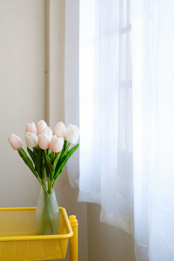 Close-up of white roses in vase against window at home