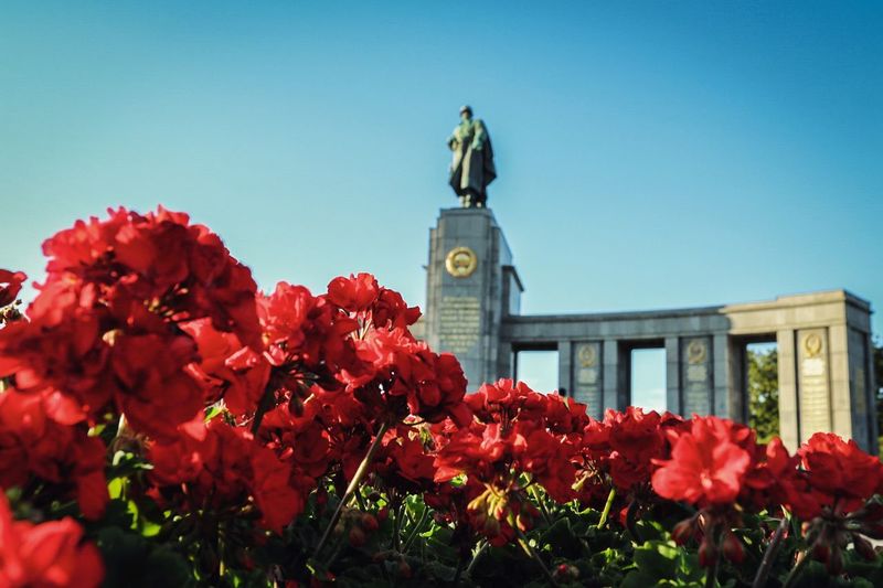 Close-up of red flowers blooming against soviet war memorial