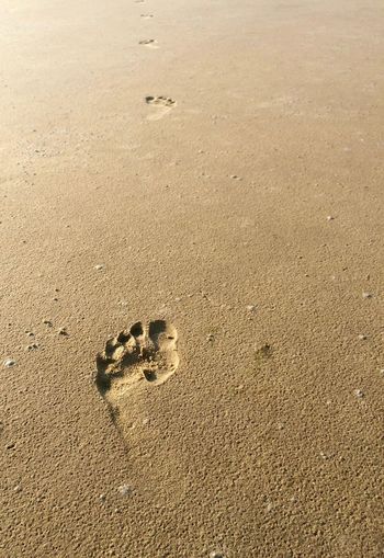 Close-up of footprint on sand