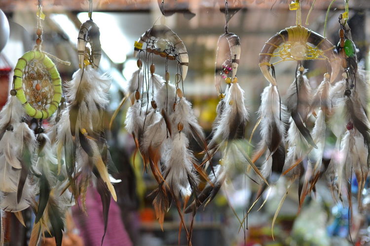 Close-up of leaves hanging in market for sale