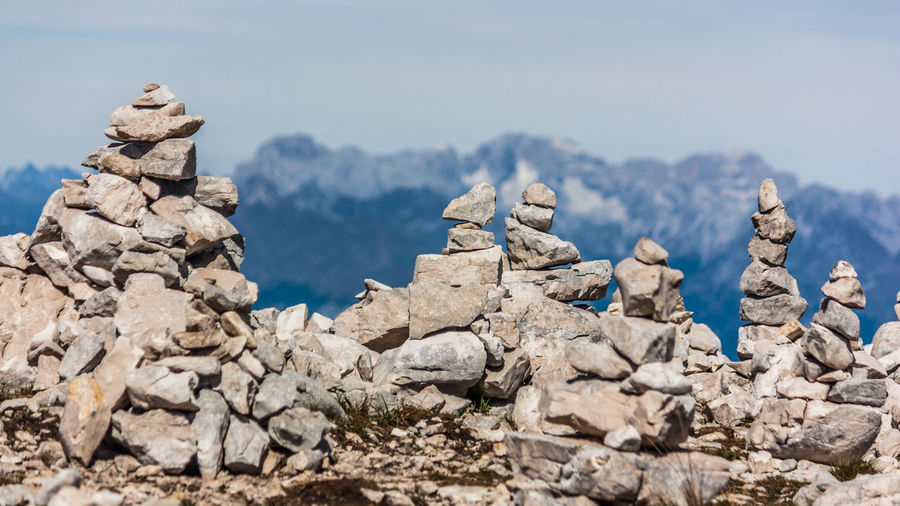 View of birds perching on rock against sky