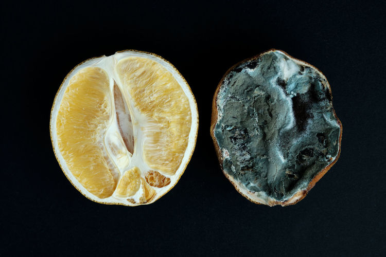 Close-up of lemon slices against black background