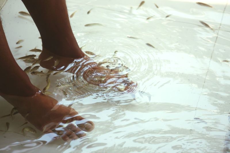 Low section of person having fish spa