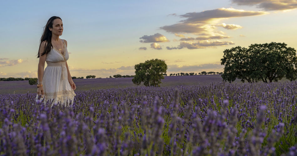 Woman standing at lavender farm against sky during sunset