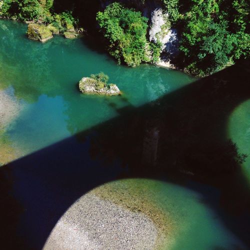 High angle view of rocks and trees in water