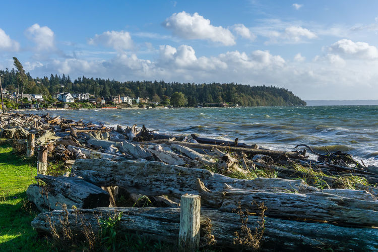 Spray fills the air from waves crashing on logs in normandy park, washington.