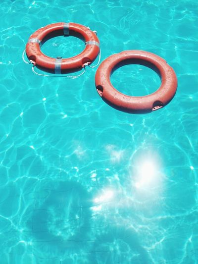 High angle view of inflatable rings in swimming pool on sunny day