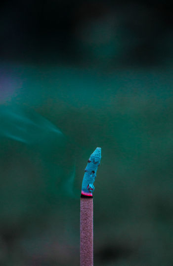 Close-up of blue umbrella on wood
