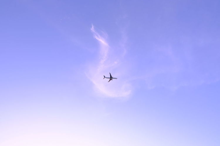 Low angle view of silhouette airplane flying in sky