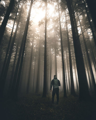 Man and woman walking in forest
