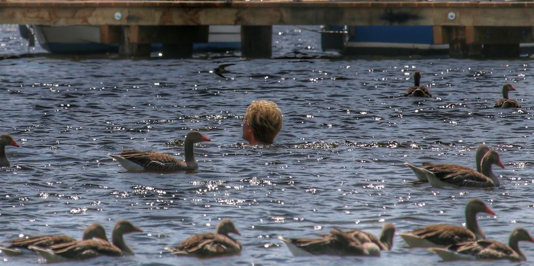 Person swimming in sea with ducks