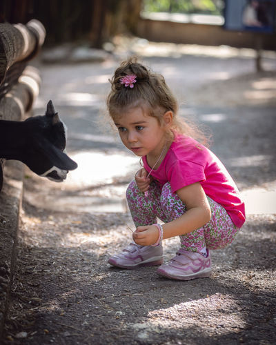 Cute girl feeding goat while standing outdoors