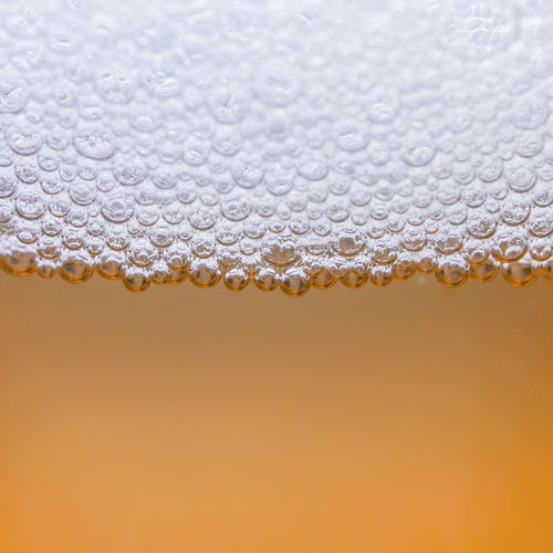 Close-up of bubbles against orange background