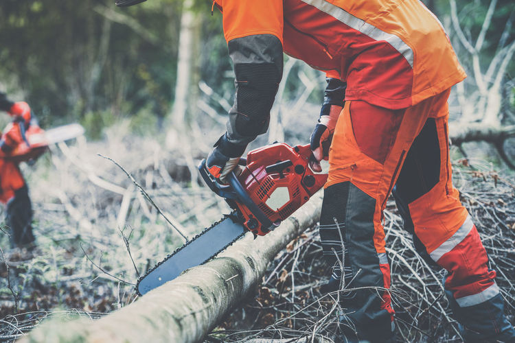 Man holding a chainsaw and cut trees. lumberjack at work. gardener working outdoor in the forest.