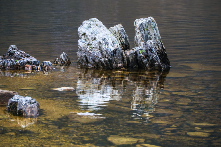 View of ducks on rock by lake