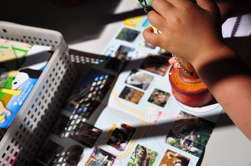 Cropped image of child holding toy over book