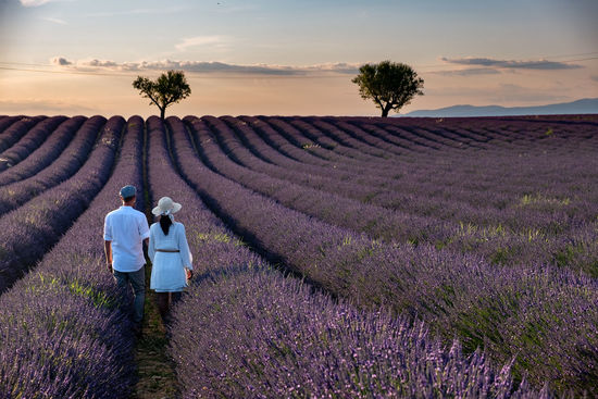 Rear view of couple standing on flowering field against sky