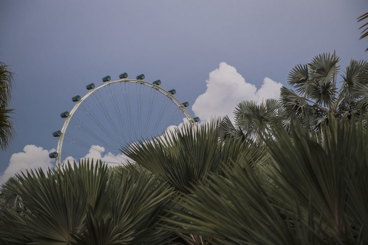 Ferris wheel seen from marina bay gardens in singapore