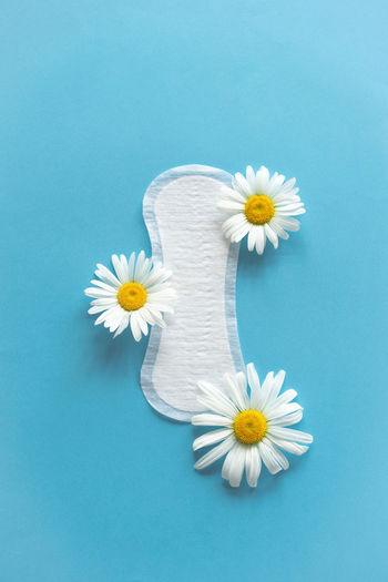 Menstruation period concept. hygienic white female pad with chamomile flowers on blue background