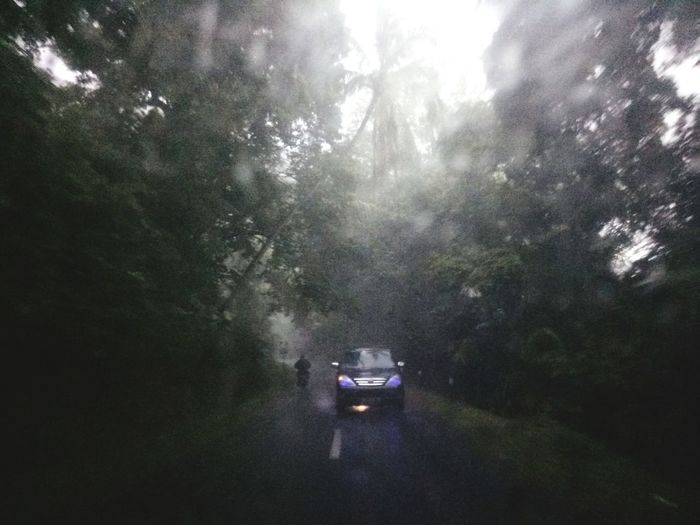 Cars on road in forest during rainy season