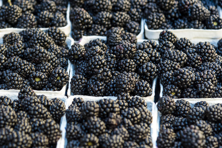 High angle view of fruits for sale in market