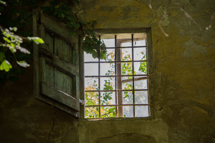 Window from the past