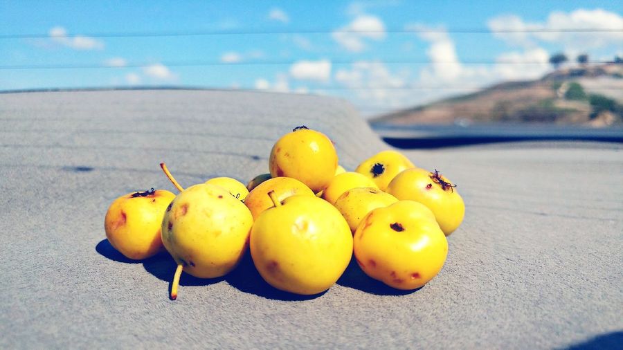 Close-up of fruits in car