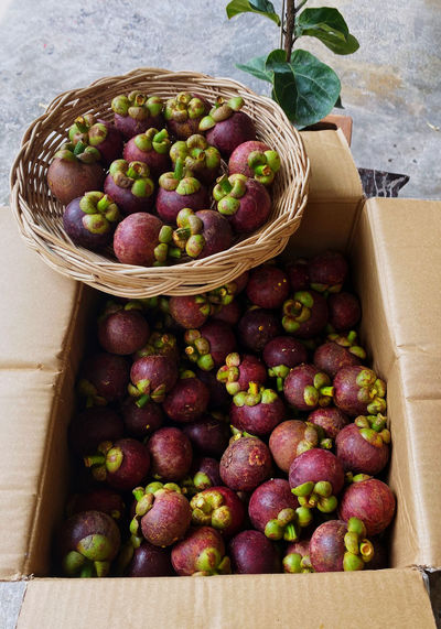 Mangosteen a tropical fruit from thailand 