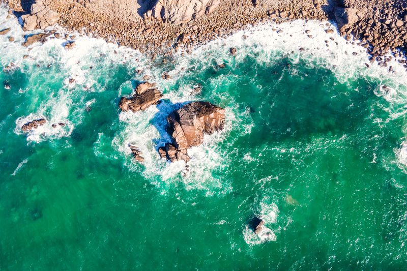 High angle view of people swimming in pool