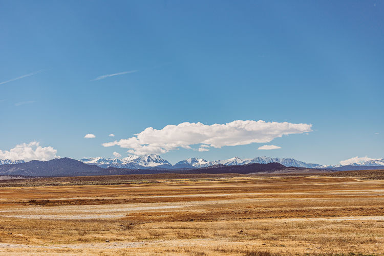 Scenic view of field against blue sky