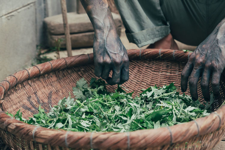 Midsection of man picking leaf vegetables from basket