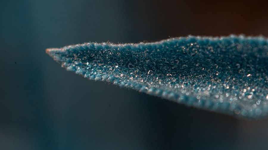 Close-up of blue glass