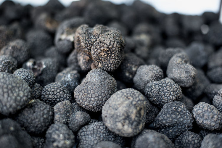 Close-up of black truffles