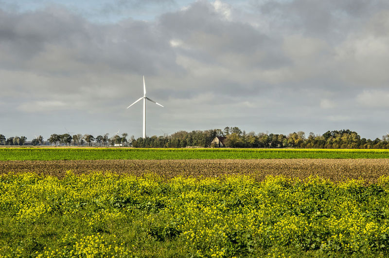 Dutch polder scene with wind turbine