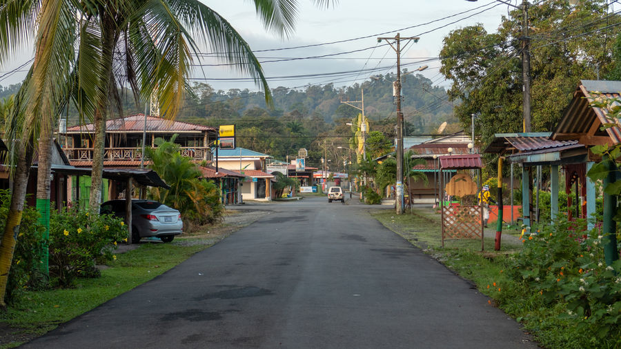 Road amidst houses and trees in village