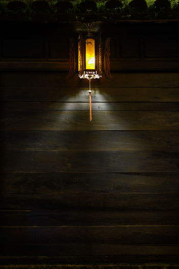 Illuminated light bulb