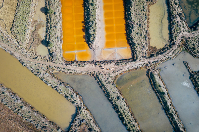 Drone shot of field